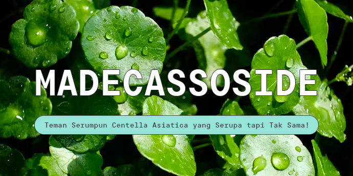 Madecassoside, Teman Serumpun Centella Asiatica yang Serupa tapi Tak Sama!