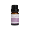 SENSATIA BOTANICALS [CLEARANCE SALE] - Jasmine Sambac Essential Oil