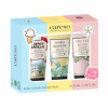 CARESO Trio Bundle Lotion Tube (35ml x 3)
