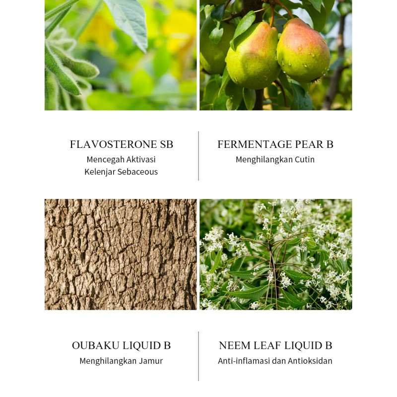 Jual Breylee Tea Tree Acne Treatment Serum Termurah Mei 2024 | BeautyHaul