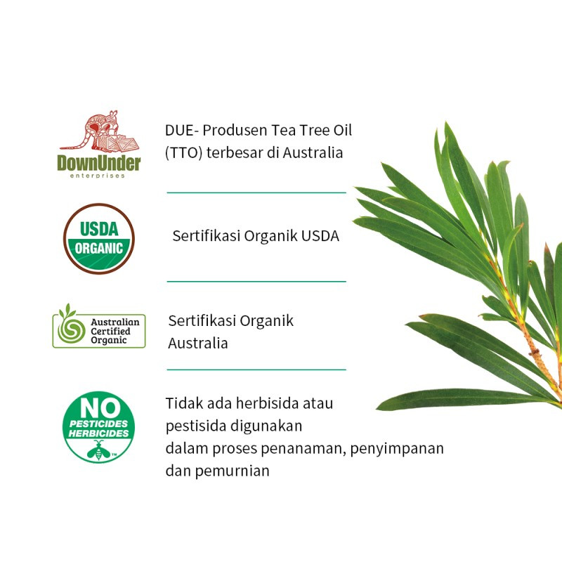 Jual Breylee Tea Tree Acne Treatment Serum Termurah Mei 2024 | BeautyHaul